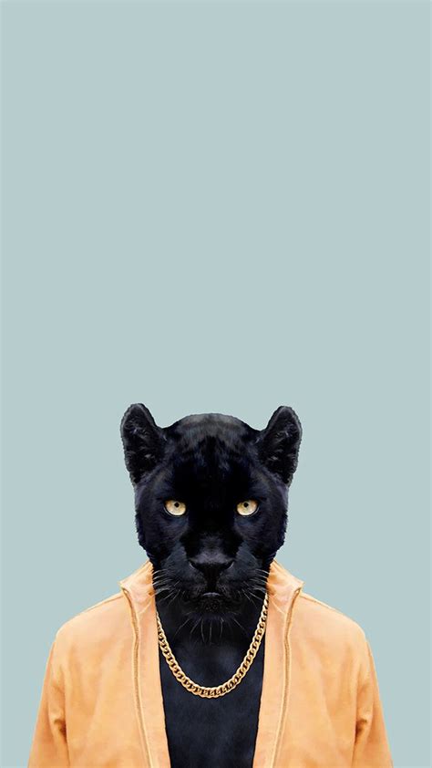 Baby Panther Wallpapers - 4k, HD Baby Panther Backgrounds on WallpaperBat