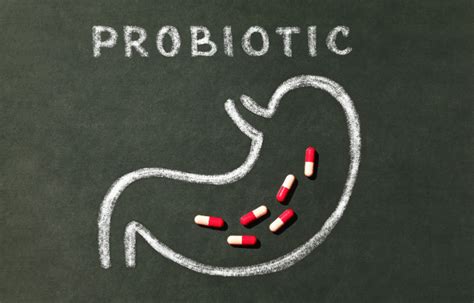 Role of Probiotics in Women for UTI Treatment - Urinary Tract Infection