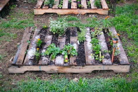 Pallet Vegetable Garden | Pallet Ideas