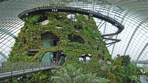 Gardens by the Bay, Cloud Forest Conservatory's Cloud Mountain ...