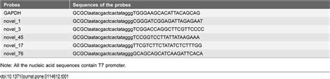 The probes designed for Northern blot. | Download Table