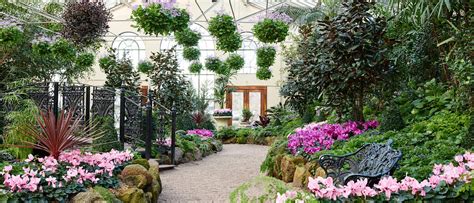 Endless Summer at The Fitzroy Gardens Conservatory - Concrete Playground