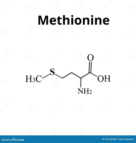 Methionine Chemical Structure. Vector Illustration Hand Drawn ...