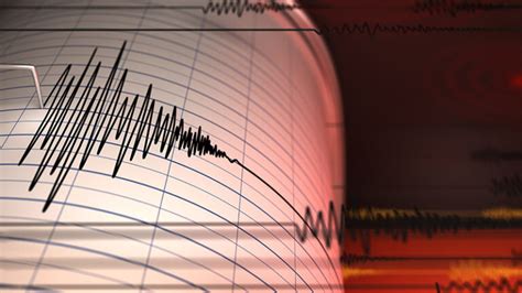 Computer wizardry gives earthquake researchers deeper insight into big quakes and the motion ...