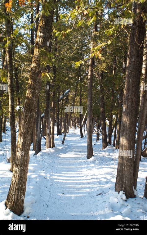 Birds Hill Manitoba Canada Stock Photo - Alamy