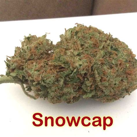 Photos of Snowcap Weed Strain Buds | Leafly