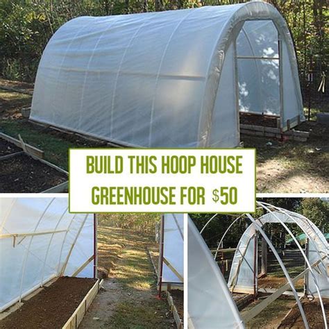 How to Build a Hoop House Greenhouse for $50 | Build a greenhouse, Greenhouse plans, Greenhouse ...