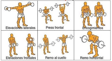 Los mejores ejercicios para los hombros Runningvillarejo.es