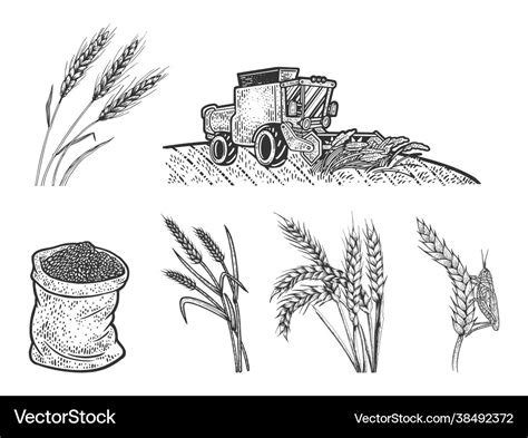 Harvesting Wheat Clipart Black