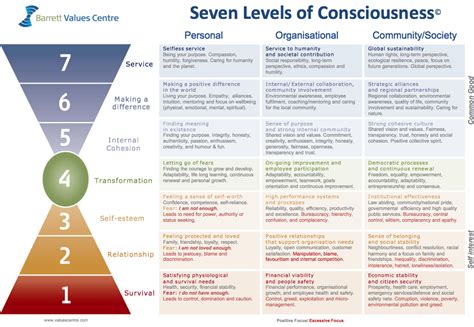 Barrett's Seven Levels of Consciousness — Building the Life You Want LLC