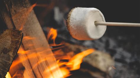 Can You Roast Homemade Marshmallows Over A Campfire?