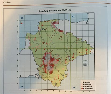 Population decline is linked to migration route in the Common Cuckoo – A Dartmoor blog