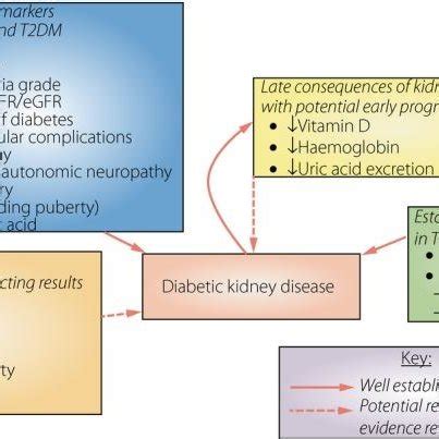 The randle cycle, "The glucose-fatty acids cycle" a homeostatic ...