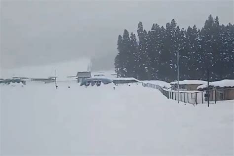 Fresh snowfall in parts of Kashmir | Perfect Timeline