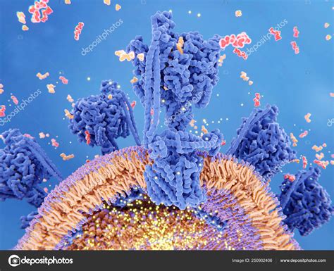 Illustration Atp Synthesis Mitochondrion Atp Synthase Couples Atp Red ...