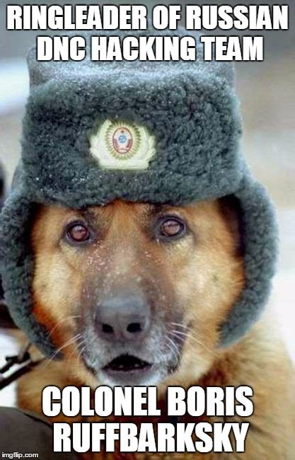 russian_dog Memes & GIFs - Imgflip