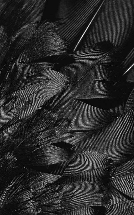 Black feather | textures | patterns | motifs | Pinterest