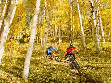 Colorado | Mountain bike trails, Mtb trails, Trail riding