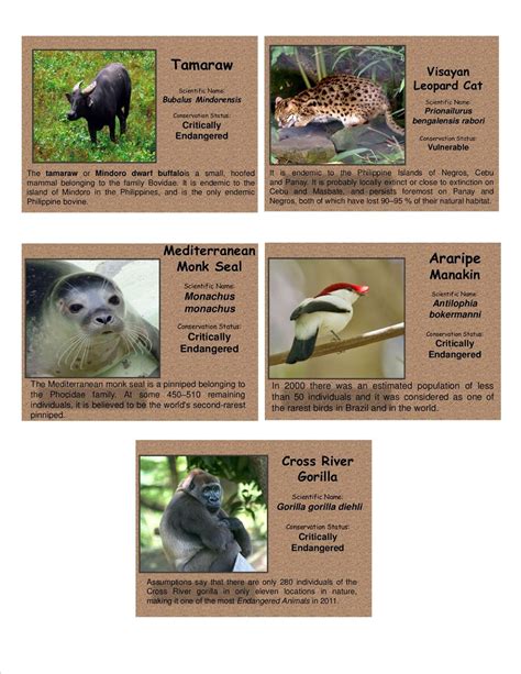 Pixel Help Option: Endangered Animals in the Philippines