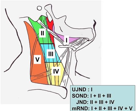 Neck dissection surgery, types, indications, risks & complications