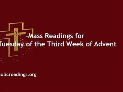 Catholic Daily Readings 2021, Sunday Mass Readings Year C, Homily