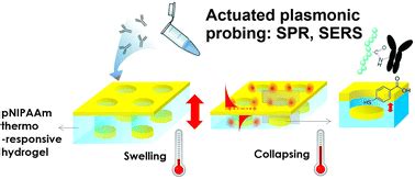 Actuated plasmonic nanohole arrays for sensing and optical spectroscopy applications - Nanoscale ...