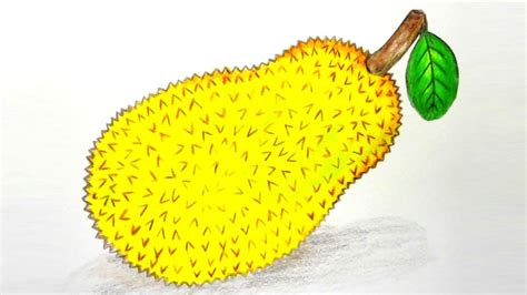 How to draw Jackfruit step by step Very Easy Drawing - YouTube