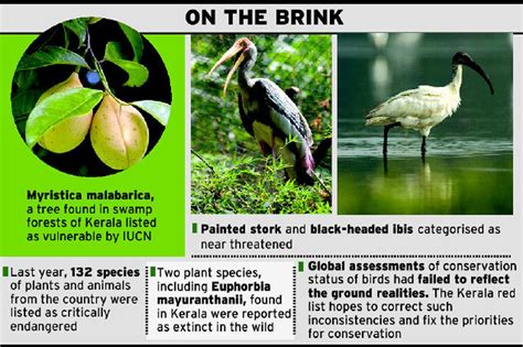 Endangered Species Of Animals And Plants