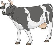 Carabao Black And White Clipart
