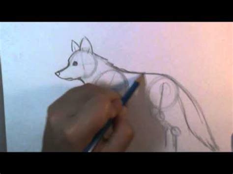 Drawn to the Wild: Create a Captivating Wolf Laying Down Drawing with ...