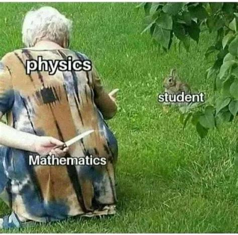 52 Math Memes That Not Everyone Will Understand