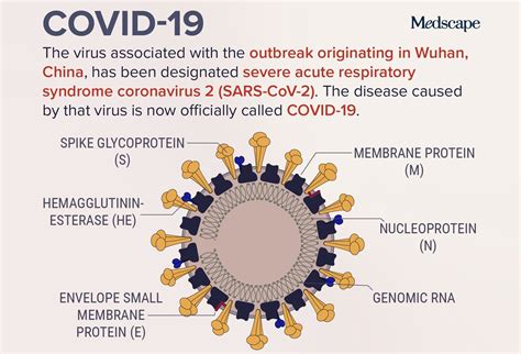 COVID-19 Infographics