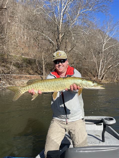 Guided Fishing Trips | Blue Ridge Paddling