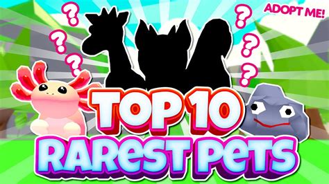 TOP 10 Rarest Pets in Adopt Me 2021 🥇(Roblox) - YouTube