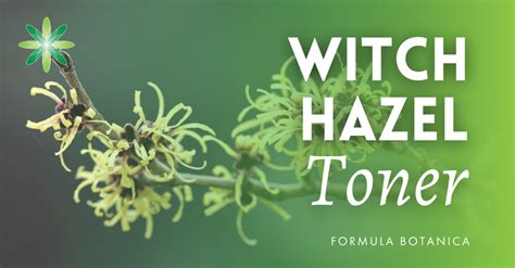 How to Make a Witch Hazel Toner - Formula Botanica