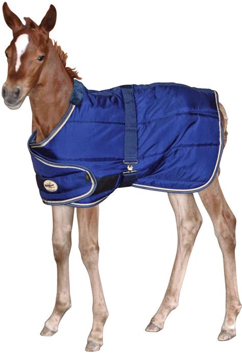 Adjustable Foal Stable Horse Blanket Brookside - Stable | Blankets Sheets | Supplies Tack | Equine