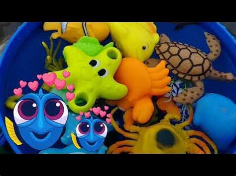 Animal ABC | sea animals l animal toys l sea animals for kids Ocean Animals | ABCD sea animals ...