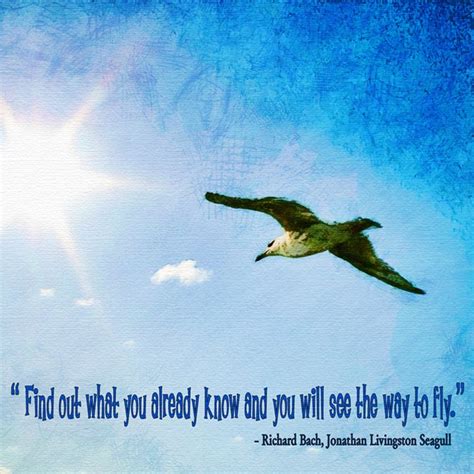 Jonathan Livingston Seagull Quotes. QuotesGram