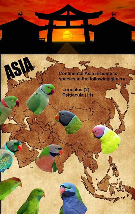 Parrots of Continental Asia