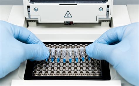 PCR Machines: The Backbone of Genetic Testing and Its Future in Clinical Chemistry - Gener8