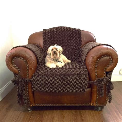 Pet Couch Protectors | Protect Furniture From Your Dog - Animals Matter, Inc.