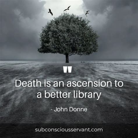 Words of Wisdom: 60+ Powerful Quotes on Ascension - Subconscious Servant