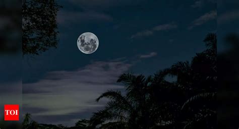 Blue Moon: Super Blue Moon 2023: Date and How to watch Blue Moon tonight - Times of India