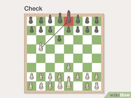 How to Play Chess for Beginners (with Pictures) - wikiHow