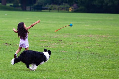 4 Active Games Your Kids Can Play With Your Dog