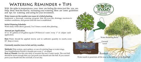 Watering Reminder + Tips