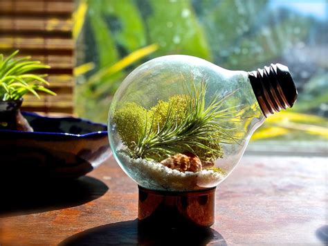 15 Delightfully Diverse DIY Terrarium Ideas: Tiny Green Delights!