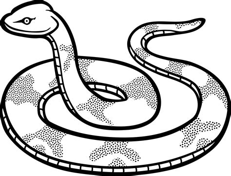 Snake clipart outline pictures on Cliparts Pub 2020! 🔝