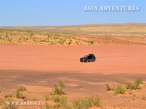 Kyzylkum desert. Uzbekistan. Tours in Kyzyklum. Tours in Uzbekistan ...