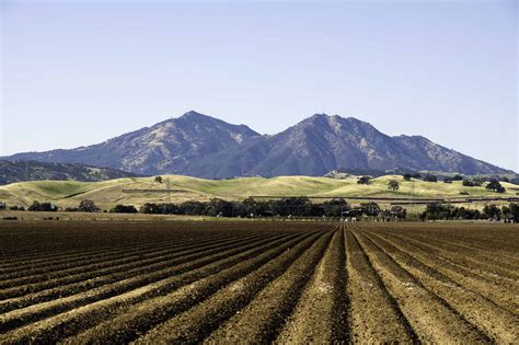 Policy Brief: Drought and California’s Agriculture - Public Policy Institute of California